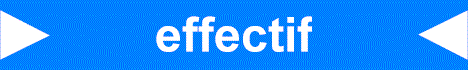 effectif